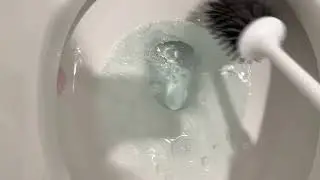 In Hand Review of Lefree Silicone Toilet Brush