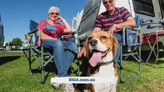 Pet Friendly Accommodation and Caravan Parks | S3 Ep2 | Pooches at Play
