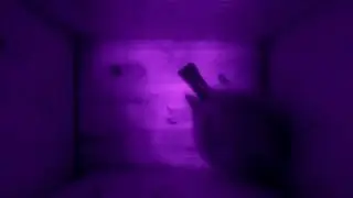 Live Blue Tit nest box camera - Bury, Manchester UK