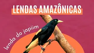 Japiim: o p&aacute;ssaro castigado por Tup&atilde;