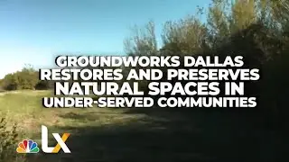 This Dallas Group Is Tackling the Climate Crisis One Green Space at a Time | NBCLX