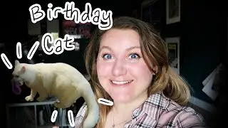 Shopping and Birthday Cat | Weekly Vlog Number 2