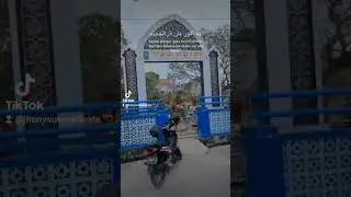 tdhn (1)