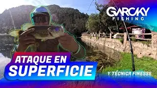 SURFACE ATTACK | Bass Fishing with Poppers and Finesse Technique