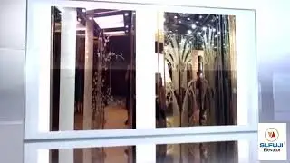 FUJI ELEVATOR/HOME ELEVATOR FROM CHINA