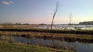 Somogyi tájakon-A Nagyberek