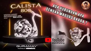 HEMUS GURAMAY CALISTA