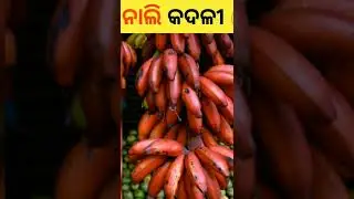 Amazing facts in Odia | Factbook Odia #facts #odiafacts #viral #shorts