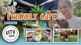 Dog Friendly Caf&eacute; Brisbane Kith n' Chow