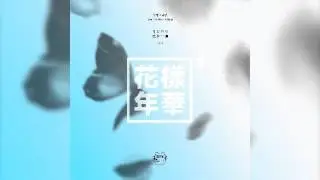 [INSTRUMENTAL] BTS(방탄소년단) - Ma City