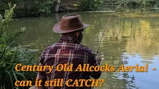 Crucians, Carp, and Century Old Centrepins