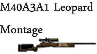 Rush Team 2 M40A3A1 Leopard Montage