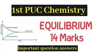 1st PUC Chemistry Equilibrium Chapter Important question answers | Equilibrium important questions