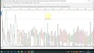 Tutorial para Edição de sequências no Bioedit