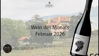 MASTERWEIN - Wein des Monats Februar: 2022 O Abanico Tinto Reserva von Casa da Passarella (Portugal)
