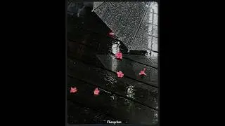Practice speaking Japanese (Day 4) #kaiwa #日本語 #朗読 #rain