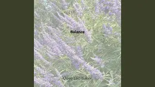 Balance