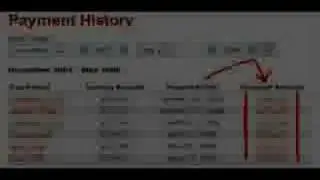 Wordpress bloginfo *VIDEO*