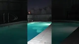 Something Just Left The Pool