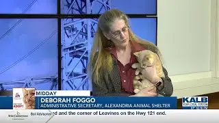 Alexandria Animal Shelter 