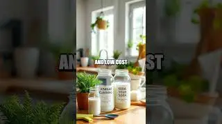 Sustainable Living on a Budget: Affordable Eco-Friendly Hacks