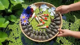 Wildlife Respect 🌿 Catch & Release with Soothing Forest Sounds