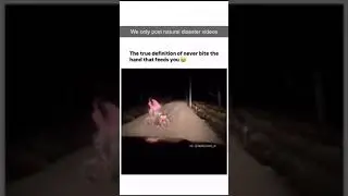 #disastercomedy #naturaldisaster #naturaldisasterpreparedness #naturalcalamity #naturaldisasterrelie