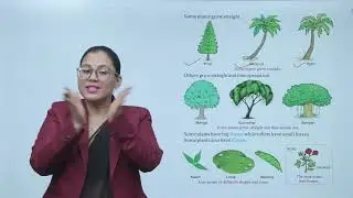 Ch 1  | Vidya Glory| Sense & Science | Class 1 | The Green World | For children