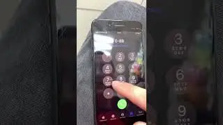 15 июня 2023 г.