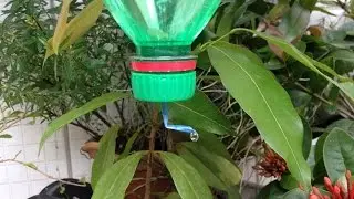 Como Fazer um Gotejador com Garrafa Pet, o mais simples, fácil e Barato para fazer!