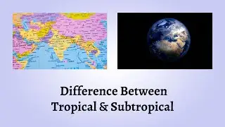 Difference Between Tropical and Subtropical | Tropical vs. Subtropical: What Sets Them Apart?