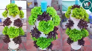 How to Grow Lettuce|16+ Plants in One Vertical Tower