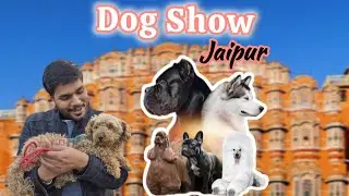 Dog Show Jaipur🐕‍🦺🐕#jaipur #dog #doglove #dogshorts #vlogs #viral #animallovers #youtube #viralvideo