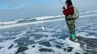 Video of Grayland Beach, WA from Sophorth  R.
