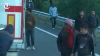 &laquo;Один из нас здесь погибнет&raquo;, &mdash; британский дальнобойщик в Кале