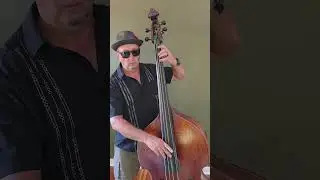 Double Bass for Sale - Bohemian Laminate 1968 Pizz