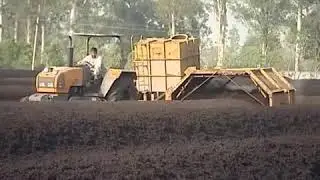 Pressmud Process
