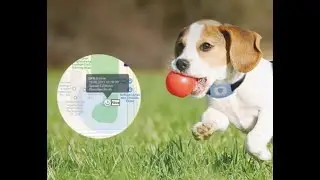 Cat Dog GPS Tracker Pet Smart Collar Waterproof.
