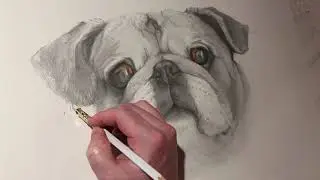 Pet Portrait in Mixed Media- 