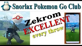 Circle Lock Method Pok&eacute;mon Go &ndash; Catching Legendary Pok&eacute;mon Zekrom. Excellent every throw.