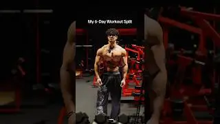 My 6-Day Workout Split 🦾