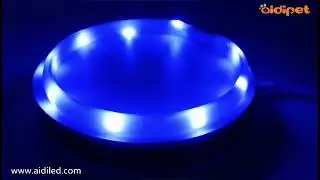 AIDI-C5 Rechargeable Pet Led Dog Collar Glow In The Dark Dog Collar