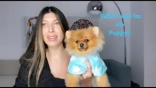 WISH Haul for my puppy !!
