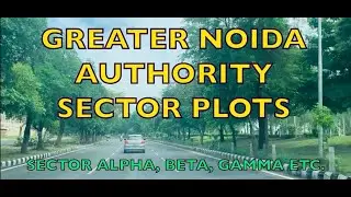 GREATER NOIDA AUTHORITY PLOTS || SECTOR ALPHA, BETA , GAMMA |RESALE PLOTS 📱 7206165093, 9289282228