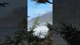 📍🌊 Yurok Loop Trail - Coastal views at secret beach in Klamath California - Redwood National Park