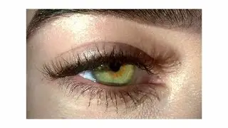 Quadible Integrity Green Eyes Frequency Bundle