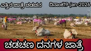 ಚಡಚಣ  ದನಗಳ ಜಾತ್ರೆ  Danagala Jatre Chadchan 2026 Oxen Fair Chadchan Bail Bazaar Chadchan 