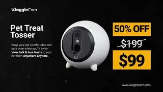 Black Friday Sale!