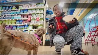 We Took Zelly To See Santa at PetSmart and Met The Cutest Dog Ever 