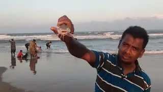 Fishing In Velankanni Beach November 2024 #velankannibeach #velankanni #fishing #fishingvideo